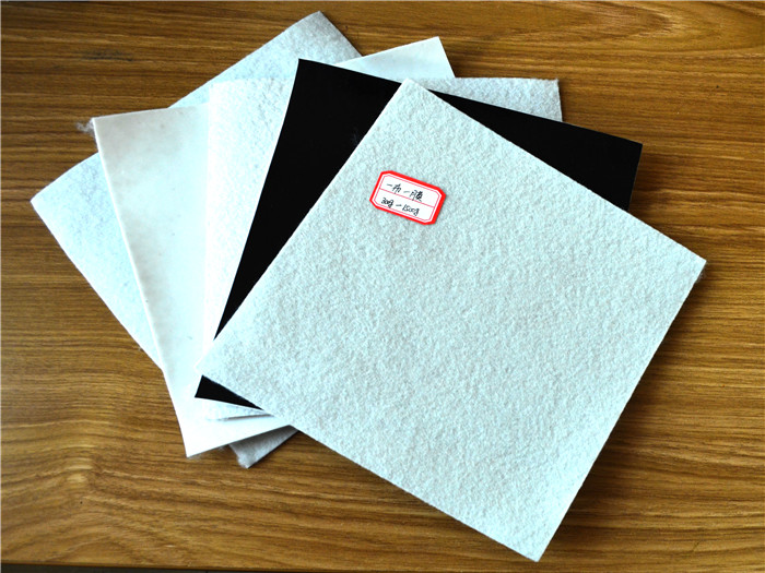 復合土工膜（一布一模）