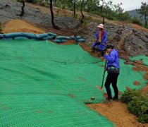 抗沖生物毯的施工