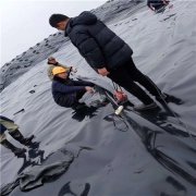 300克無(wú)紡?fù)凉げ忌a(chǎn)