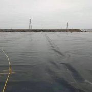 100g黑色土工布供貨商