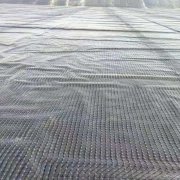 3mm防滲hdpe土工膜多少錢