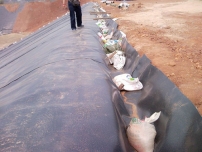 025mm環(huán)保土工膜多少錢(qián)