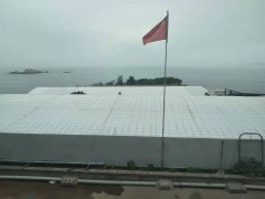 500克土工布土工格柵價(jià)格是多少