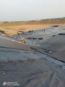 300克有紡土工布生產