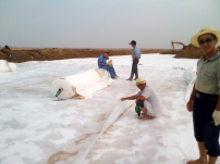 08mm防滲土工膜價(jià)格