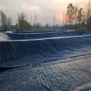 1mm防滲土工膜價格