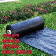 100g批發(fā)土工布