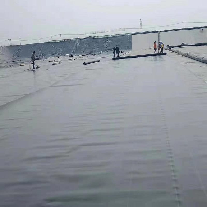 06mm土工膜袋價格