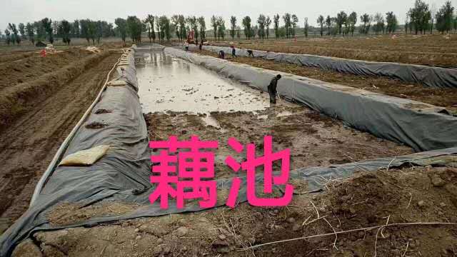 03mm國(guó)際土工膜生產(chǎn)