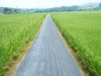 100g生產土工布多少錢