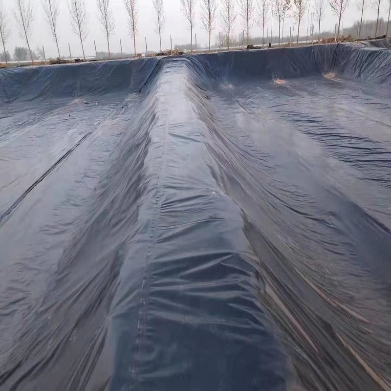 池塘土工膜生產(chǎn)