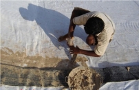 08mm氧化池防滲膜多少錢