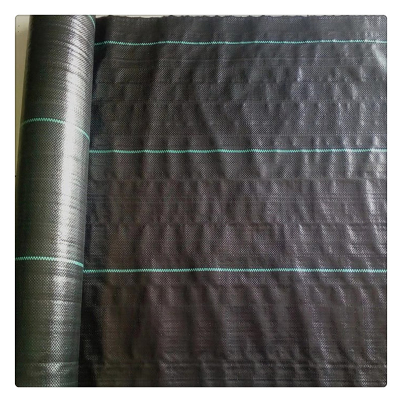 2mm土工膜袋價格