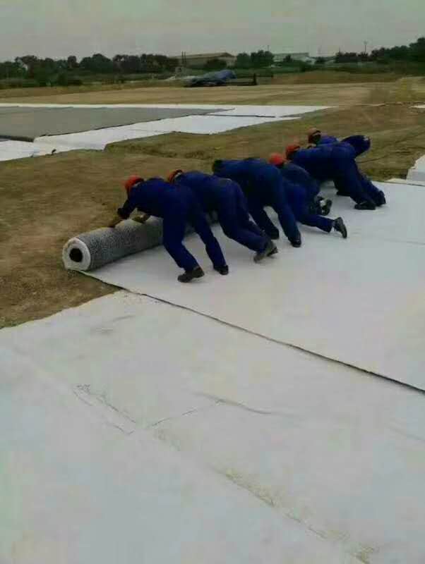 025mm糙面土工膜多少錢