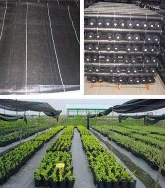 150克綠色土工布